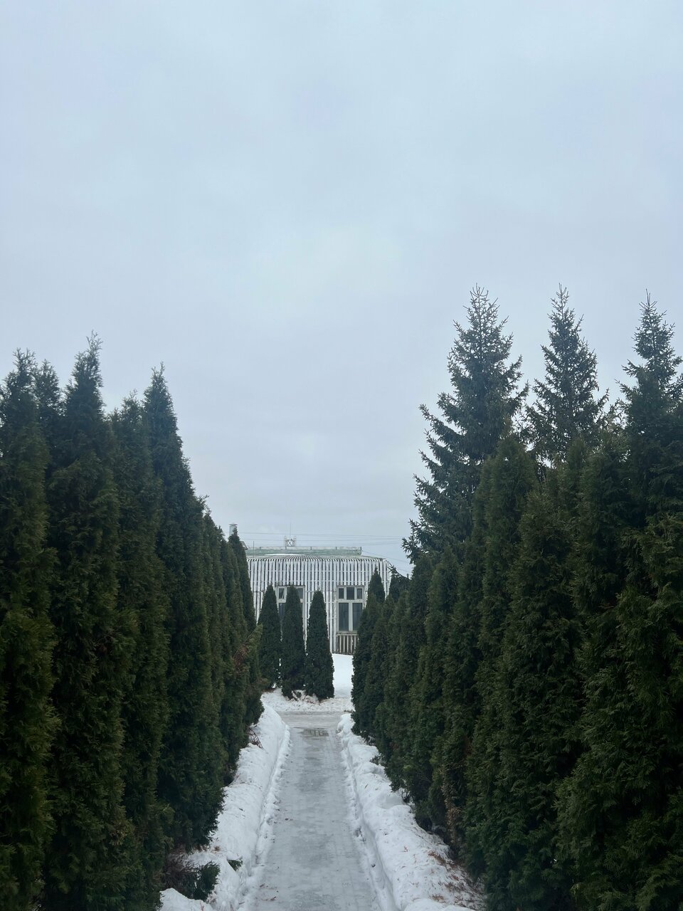 Гостиница Форест Малоярославец-152