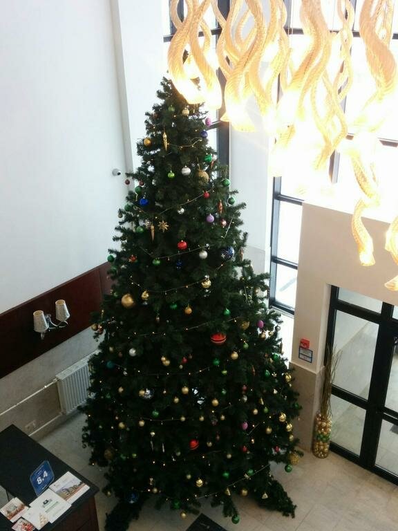 Гостиница Форест Малоярославец-47