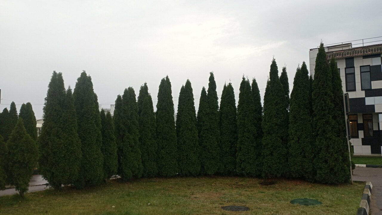 Гостиница Форест Малоярославец-143