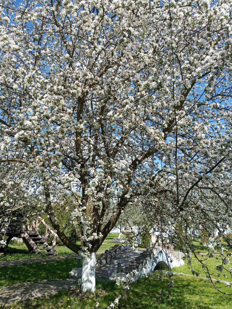 Гостиница Форест Малоярославец-153