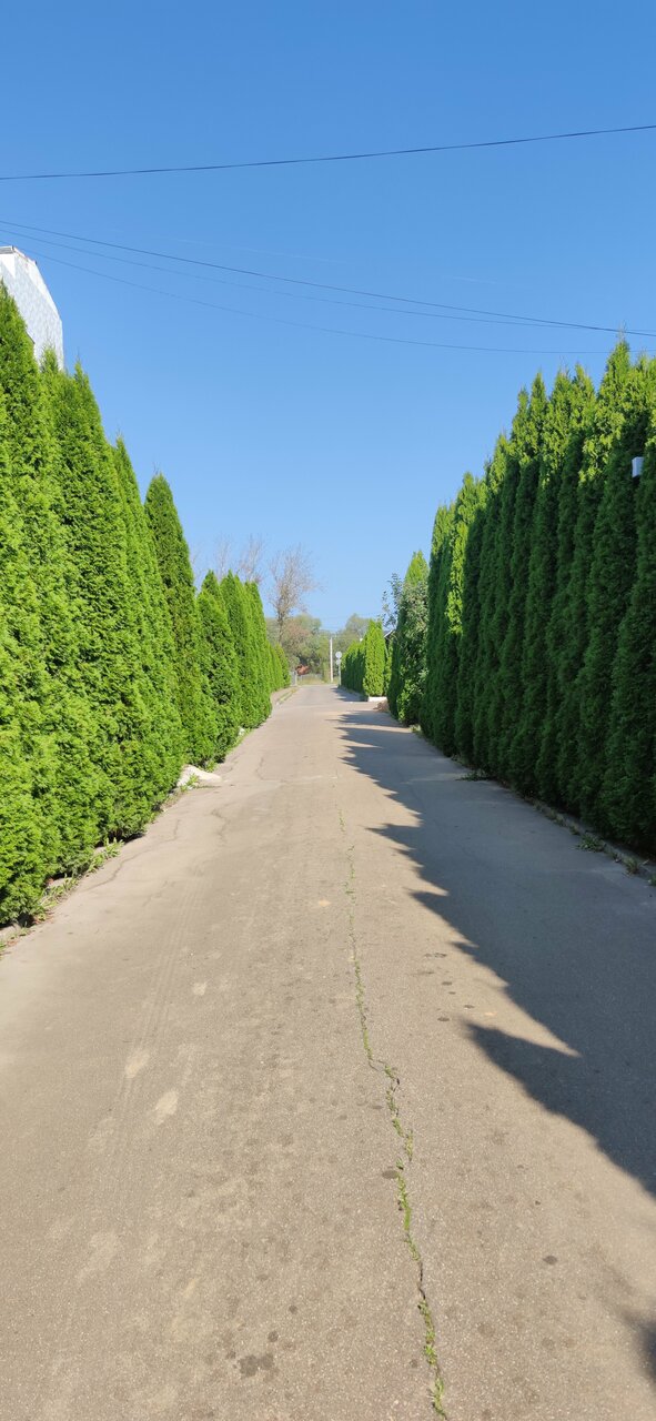 Гостиница Форест Малоярославец-188