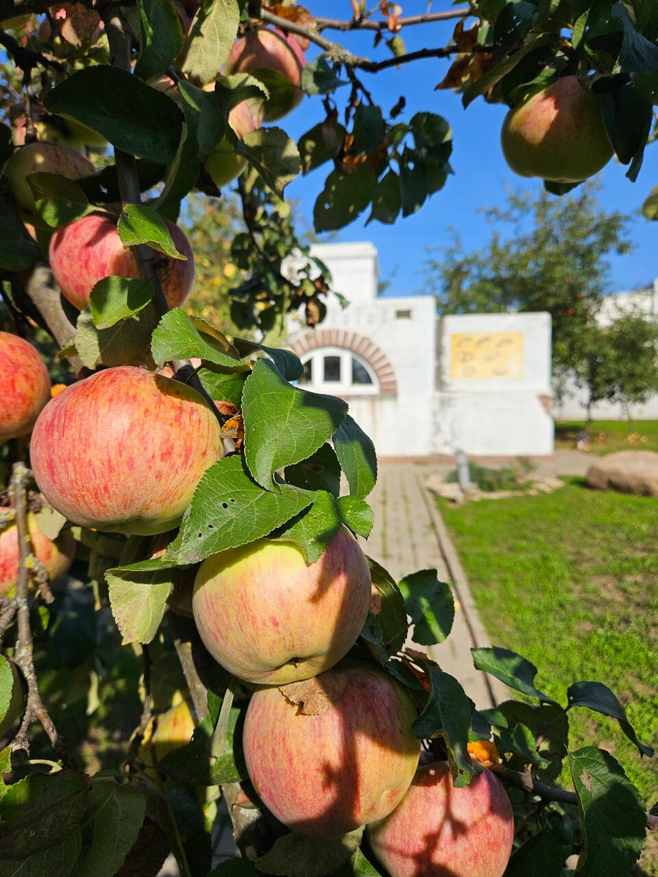 Гостиница Форест Малоярославец-15