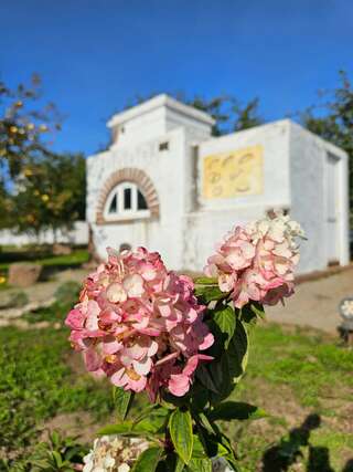 Гостиница Форест Малоярославец-7