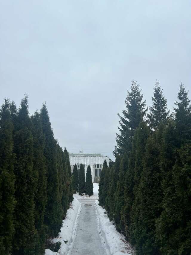 Гостиница Форест Малоярославец-151