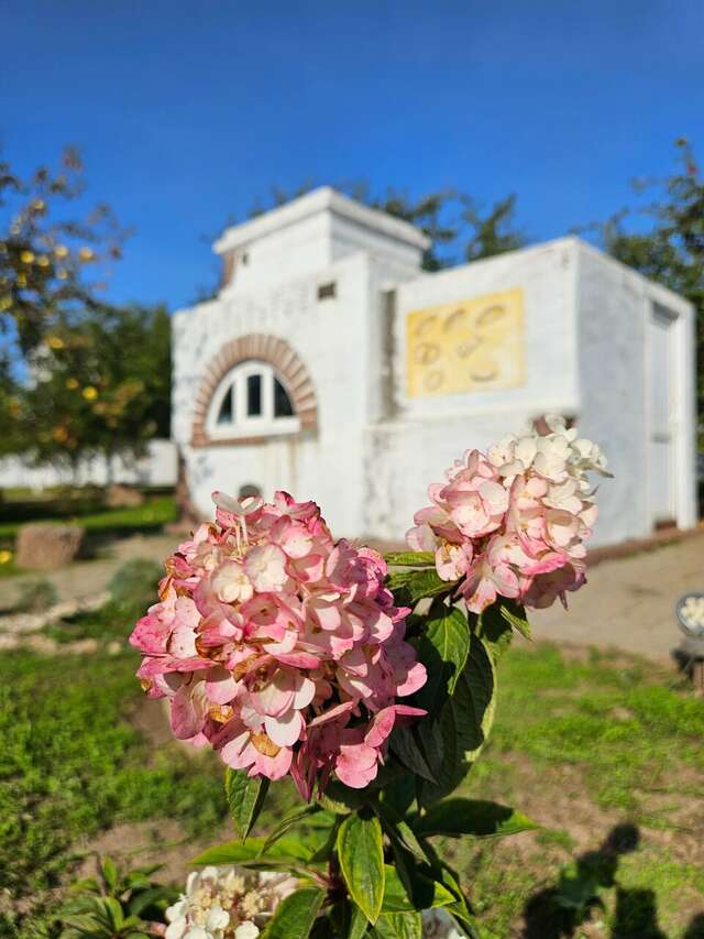 Гостиница Форест Малоярославец-10