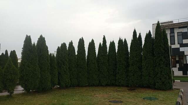 Гостиница Форест Малоярославец-142