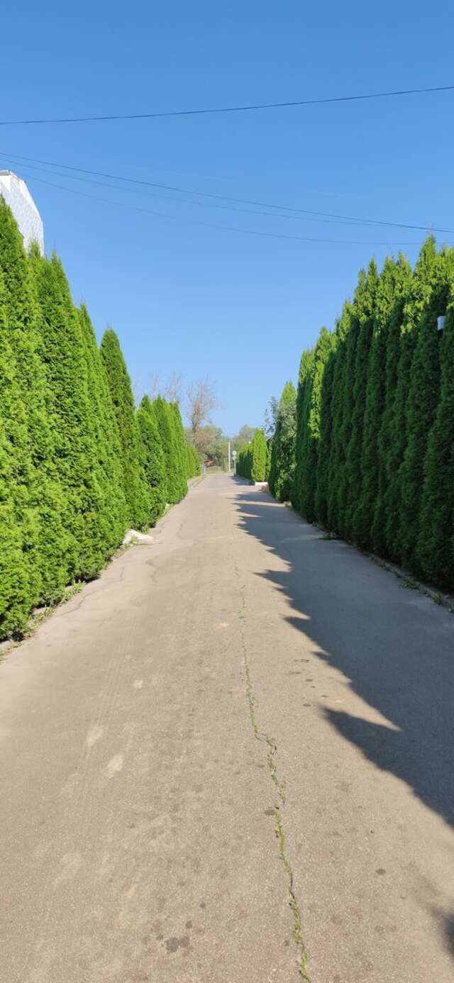 Гостиница Форест Малоярославец-187